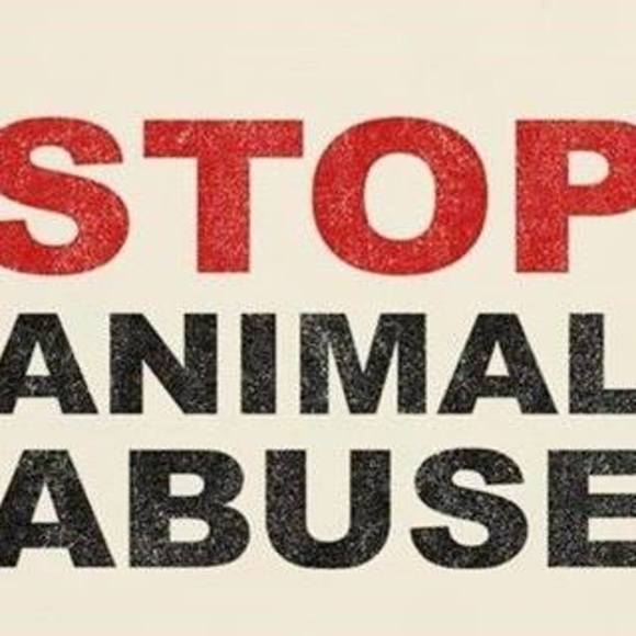 Meet your Posher, Lacey - Picture 1 of 1